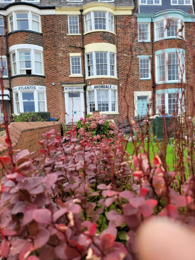 Sea View Penthouse Flat 6 With Fast Wifi And Free Parking Apartment *